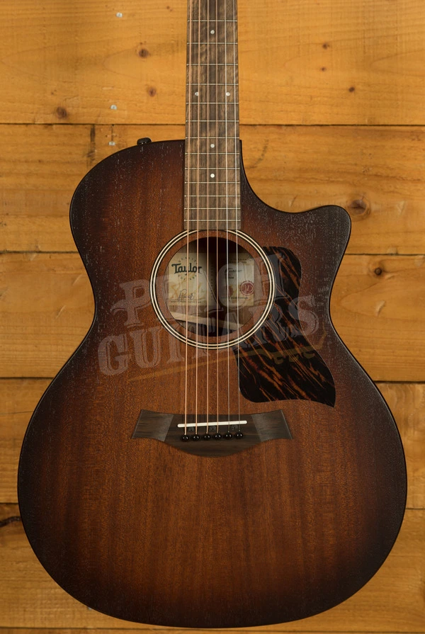 Taylor American Dream Series | AD24ce