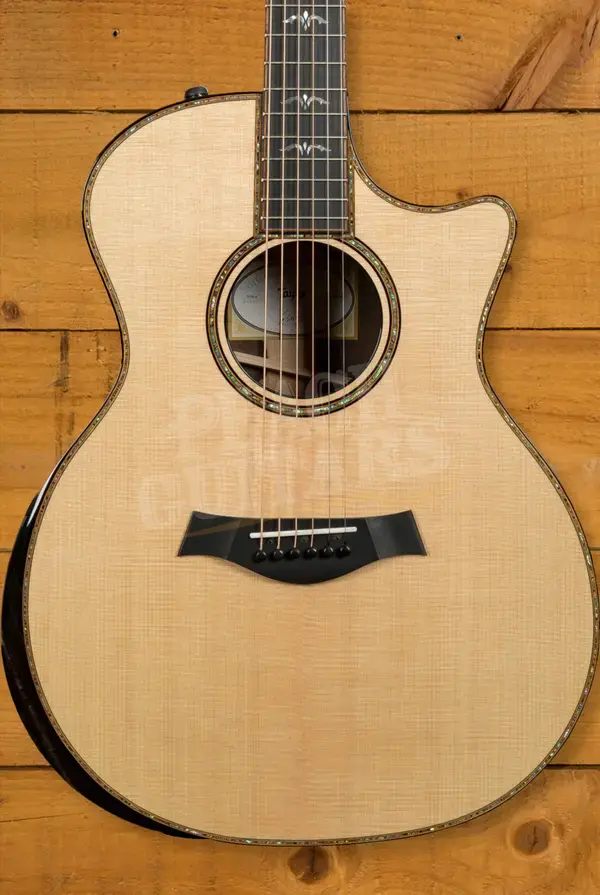 Taylor 914ce Brazilan Rosewood Back & Sides