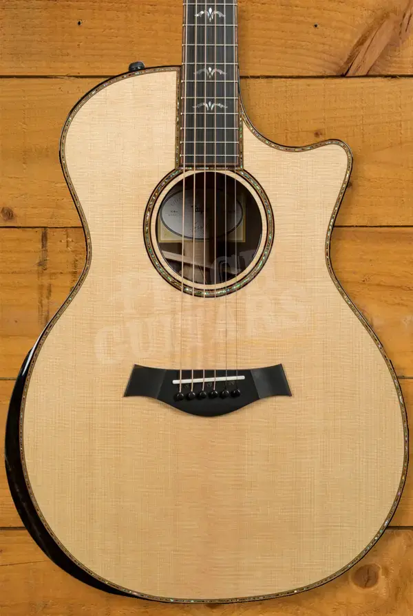 Taylor 914ce Brazilan Rosewood Back & Sides