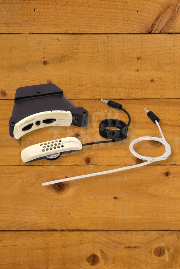 LR Baggs Anthem Acoustic Guitar Pickup System