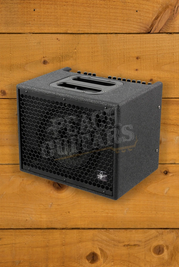 Udo Roesner Da Capo 75 Acoustic Amplifier Combo - 75W