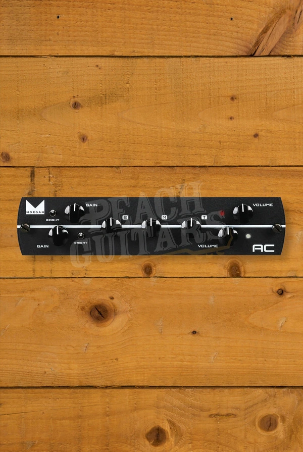 Synergy Modules | Morgan AC Preamp