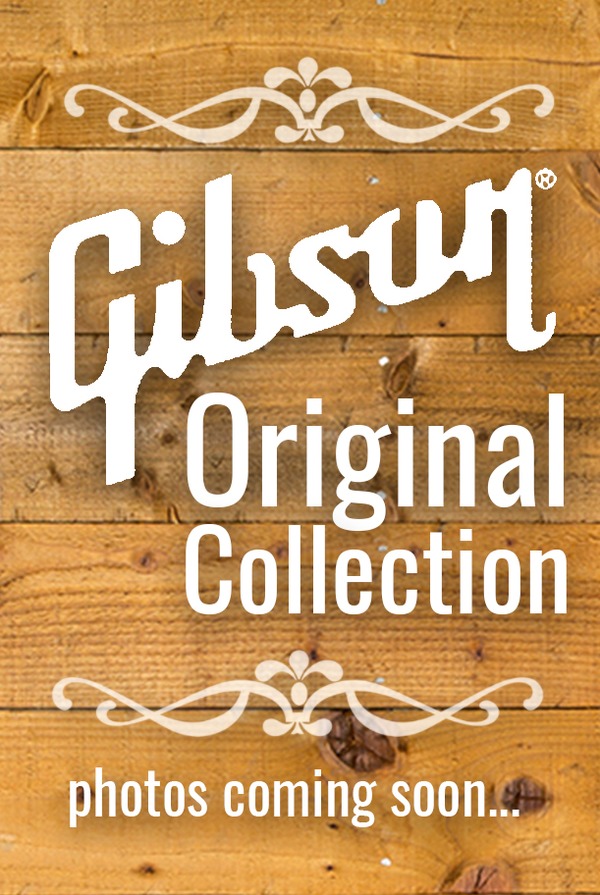 Gibson ES-339 - Gloss Dark Natural