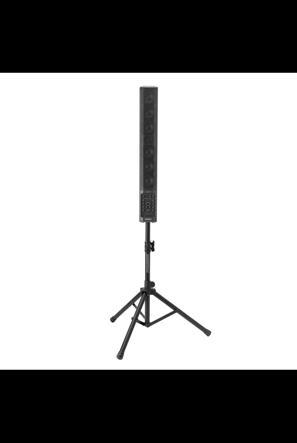 Fishman SA330x PA System