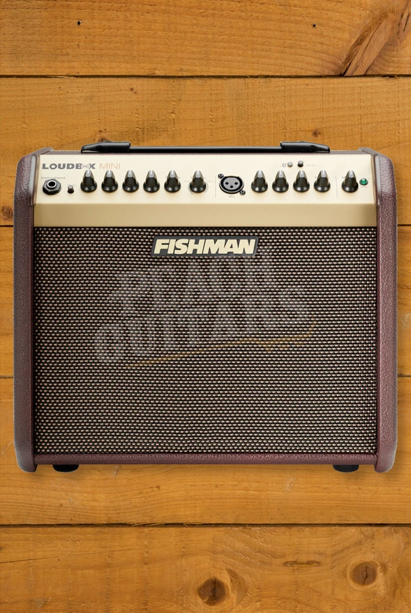 Fishman Loudbox Mini Acoustic Amplifier Combo - 60W