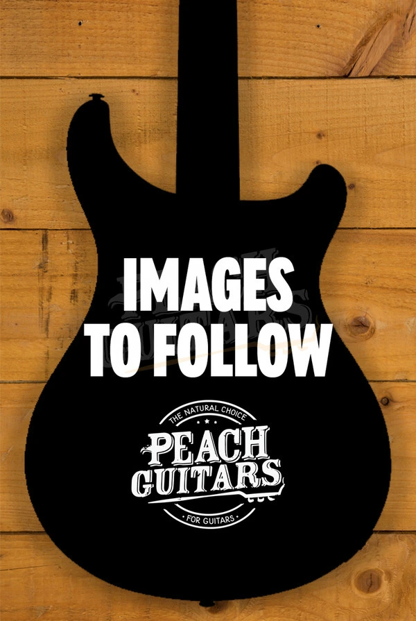 PRS S2 Standard 24 - Mahi Blue