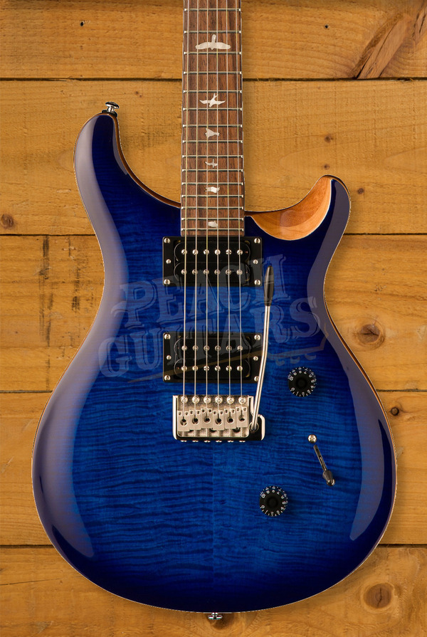 PRS SE Custom 24 - Faded Blue Burst