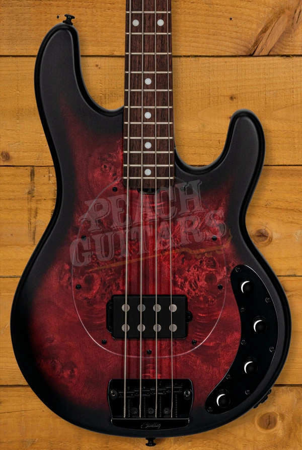 Sterling RAY34PB StingRay Bass - Burled Dark Scarlet Burst Satin