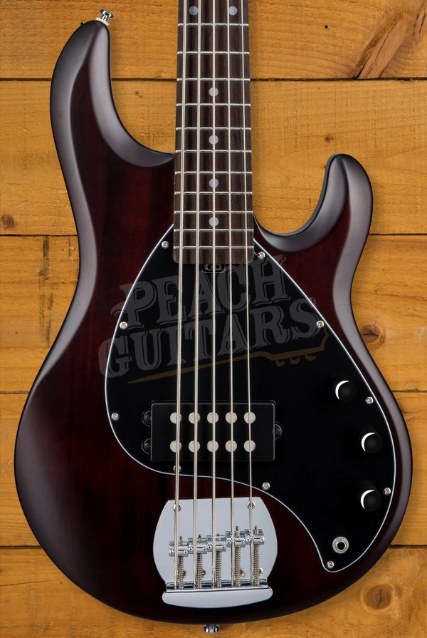Sterling RAY5 SUB Series StingRay 5 Bass - Walnut Satin