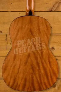 Fender CN-30WN Nylon - Walnut - Natural