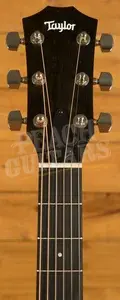 Taylor 300 Series | 314ce Studio - Natural