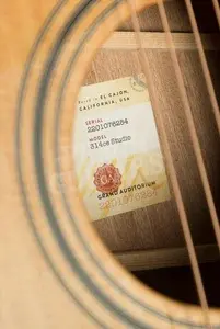 Taylor 300 Series | 314ce Studio - Natural