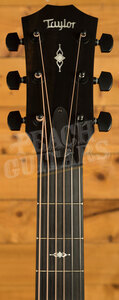 Taylor 300 Series | 324ce