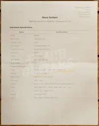 Novo Nucleus Serus J | Amber - Tortoise Shell Pickguard