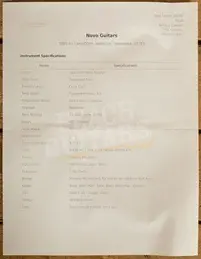 Novo Custom Series Serus J | Your Gold Dress Sparkle - Black Pickguard