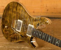 PRS Wood Library DGT Yellow Tiger - All Rosewood Neck