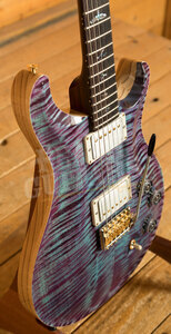 PRS Wood Library DGT Violet - All Rosewood Neck