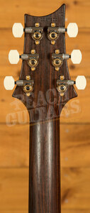 PRS Wood Library DGT Violet - All Rosewood Neck