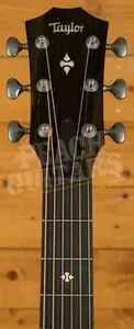 Taylor 500 Series | Builder's Edition 514ce