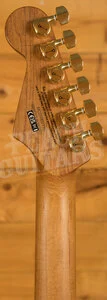 Charvel Pro-Mod DK24 HSS 2PT CM | Caramelized Maple - Snow White
