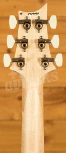 PRS Swamp Ash Special Rosewood | White Doghair Smokeburst