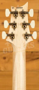 PRS Swamp Ash Special Maple | White Doghair Smokeburst