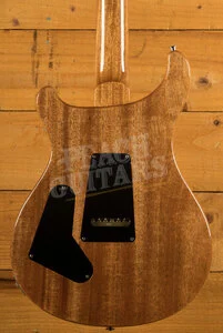 PRS Custom 24 | Aurora Borealis