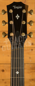 Taylor 300 Series | Builder's Edition 324ce