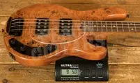 Sterling RAY34HHPB StingRay HH Bass - Burled Amber