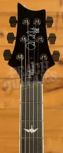 PRS SE Signature | Mark Holcomb - Holcomb Blue Burst
