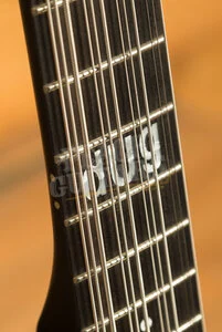 Schecter Bass dUg Pinnick DP-12 | 12-String - Satin Black