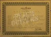 Nik Huber Piet | 2-Tone Sunburst