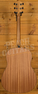 Taylor 100 Series | 117e