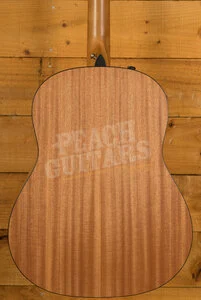 Taylor 100 Series | 117e