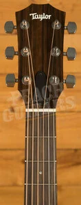 Taylor 100 Series | 117e