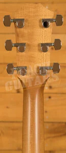 Taylor 100 Series | 117e