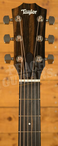 Taylor 200 Series | 214ce Ziricote Plus Special Edition