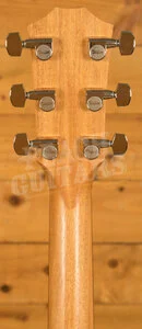 Taylor 200 Series | 214ce Ziricote Plus Special Edition