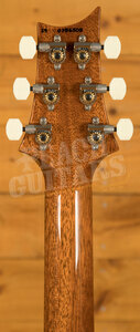 PRS DGT - Faded Blue Jean w/Bird Inlays