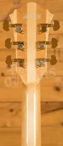 Ibanez Signature Models | LGB30 - George Benson - Natural