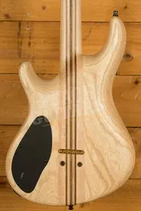 Mayones NAMM 2026 Regius Transparent Custom Colour/Resin Top