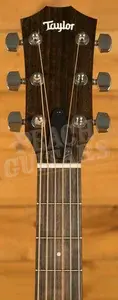 Taylor 100 Series | 112ce