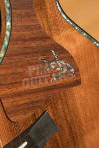 Taylor Presentation Series | PS14ce Honduran Rosewood