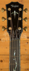 Taylor Presentation Series | PS14ce Honduran Rosewood