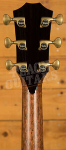 Taylor Presentation Series | PS14ce Honduran Rosewood