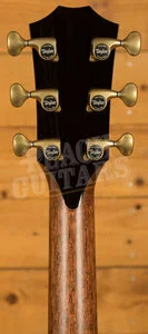 Taylor Presentation Series | PS14ce Honduran Rosewood