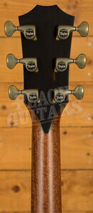 Taylor 900 Series | Builder's Edition 914ce - Wild Honey Burst