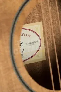 Taylor Big Baby Series | BBTe