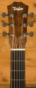 Taylor Baby Series | BTe-Koa