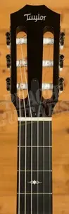 Taylor 300 Series | 312ce-N